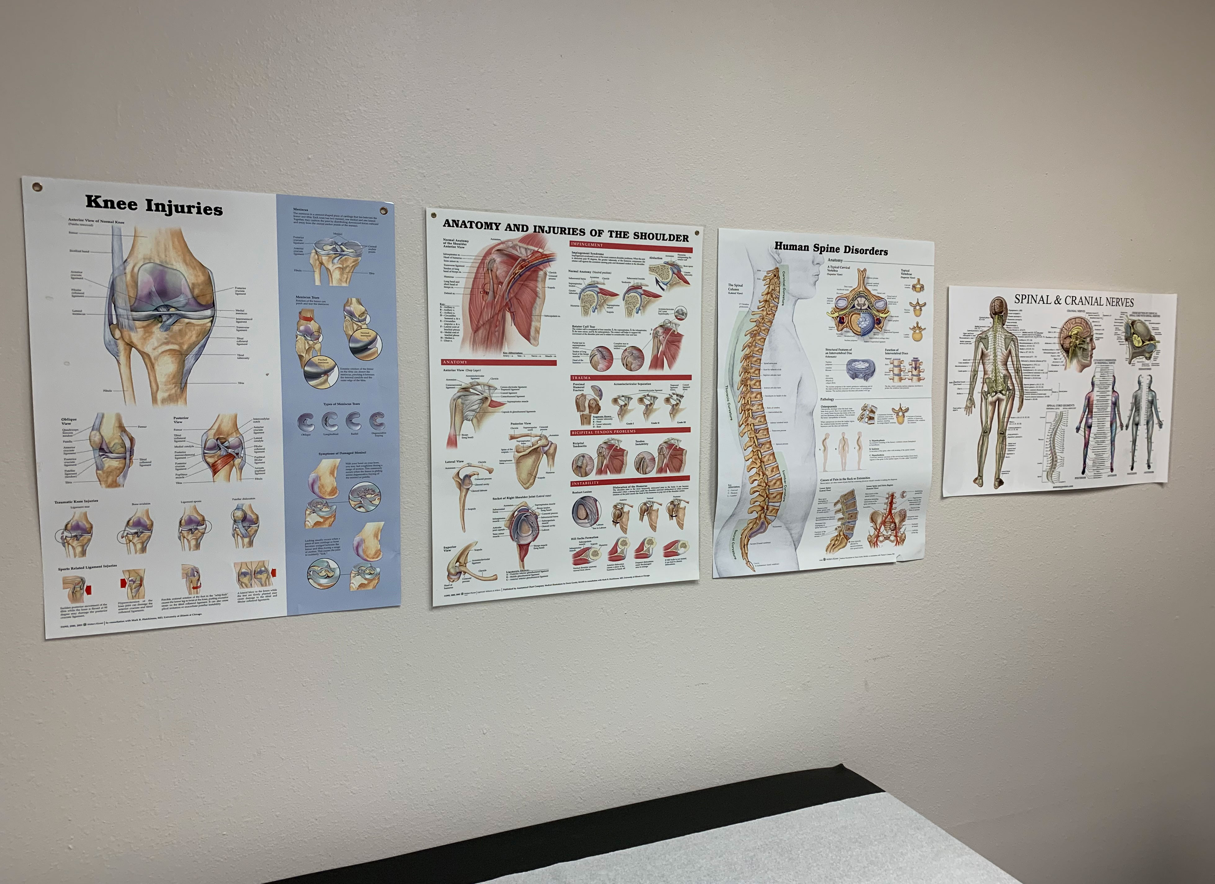 Locations Tampa Bay Orthopedic Surgery Group Tampa FL